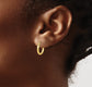 10K Yellow Gold Polished Hinged Hoop Earrings X-Small